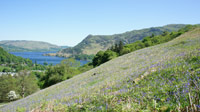 Ullswater